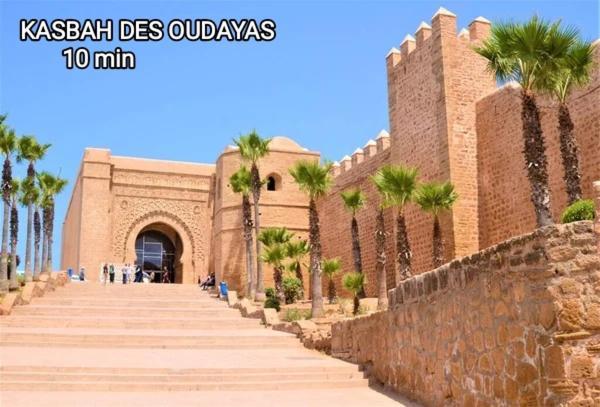 Cosyhomeocean الرباط المظهر الخارجي الصورة